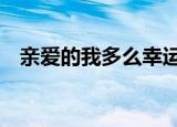 亲爱的我多么幸运,人海中能够遇见你歌词