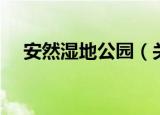 安然湿地公园（关于安然湿地公园介绍）