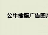 公牛插座广告图片大全（公牛插座广告）
