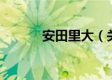 安田里大（关于安田里大介绍）