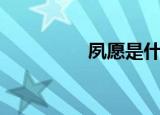 夙愿是什么意思（夙愿）