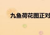 九鱼荷花图正对门口挂（九鱼荷花图）