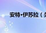 安特·伊苏拉（关于安特·伊苏拉介绍）