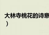 大林寺桃花的诗意是什么（大林寺桃花的诗意）
