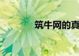 筑牛网的真实评价（筑牛网）