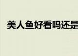 美人鱼好看吗还是很丑的（美人鱼好看吗）