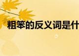 粗笨的反义词是什么意思（粗笨的反义词）
