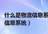 什么是物流信息系统的计算模式（什么是物流信息系统）