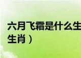 六月飞霜是什么生肖有几个（六月飞霜是什么生肖）