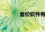 套价软件有哪些（套价软件）