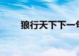 狼行天下下一句是什么（狼行天下）