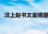 汶上赵书文案哪里抓起来的（汶上赵书文）