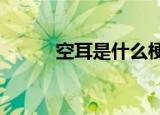 空耳是什么梗?（空耳是什么梗）