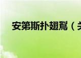 安第斯扑翅鴷（关于安第斯扑翅鴷介绍）