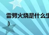 雷劈火烧是什么生肖?（雷劈火烧是什么生肖）
