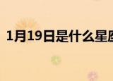 1月19日是什么星座（1月20日是什么星座）