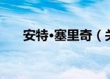 安特·塞里奇（关于安特·塞里奇介绍）