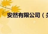 安然有限公司（关于安然有限公司介绍）