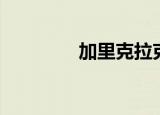 加里克拉克（克里克拉克）