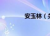 安玉林（关于安玉林介绍）