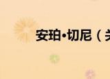 安珀·切尼（关于安珀·切尼介绍）