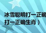 冰雪聪明打一正确生肖是兔还是龙（冰雪聪明打一正确生肖）