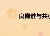 良宵谁与共小说（良宵谁与共）