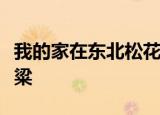 我的家在东北松花江上那里有满山遍野大豆高粱