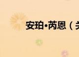 安珀·芮恩（关于安珀·芮恩介绍）