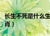 长生不死是什么生肖动物（长生不死是什么生肖）