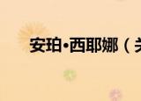 安珀·西耶娜（关于安珀·西耶娜介绍）