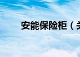 安能保险柜（关于安能保险柜介绍）