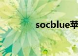 socblue苹果皮（socblue）