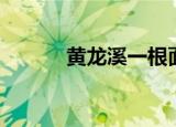 黄龙溪一根面妖娆哥（妖娆哥）