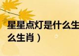 星星点灯是什么生肖最佳答案（星星点灯是什么生肖）
