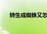 转生成蜘蛛又怎样主角（转生成蜘蛛）