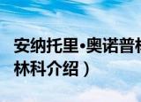 安纳托里·奥诺普林科（关于安纳托里·奥诺普林科介绍）