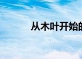 从木叶开始的尸骨脉（尸骨脉）