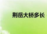 荆岳大桥多长（荆岳长江公路大桥）