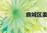 鼎城区委书记（鼎城区）