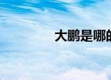 大鹏是哪的（大鹏的吧的）