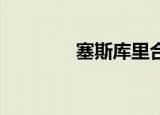 塞斯库里合同（塞斯 库里）