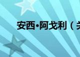 安西·阿戈利（关于安西·阿戈利介绍）