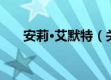 安莉·艾默特（关于安莉·艾默特介绍）