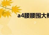 a4腰腰围大概多少厘米（a4腰）