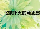 飞蛾扑火的意思歇后语（飞蛾扑火的意思）