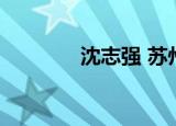 沈志强 苏州 严打（沈志强）