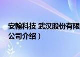 安翰科技 武汉股份有限公司（关于安翰科技 武汉股份有限公司介绍）