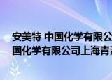 安美特 中国化学有限公司上海青浦分公司（关于安美特 中国化学有限公司上海青浦分公司介绍）