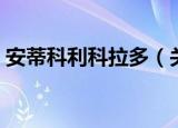 安蒂科利科拉多（关于安蒂科利科拉多介绍）